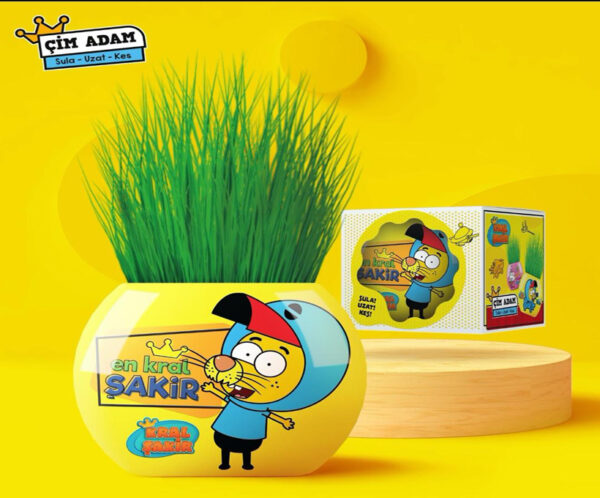 Çim Adamlar (Kukuli, Pırıl, Kral Şakir)