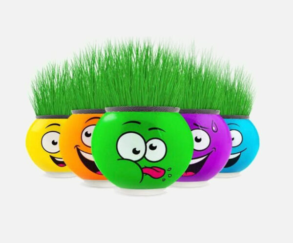 Çim Adamlar (Kukuli, Pırıl, Kral Şakir)